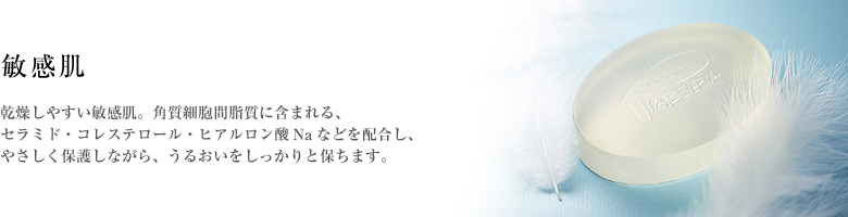乾燥しやすい敏感肌。角質細胞間脂質に含まれる、セラミド・コレステロール・ヒアルロン酸Naなどを配合し、やさしく保護しながら、うるおいをしっかりと保ちます。