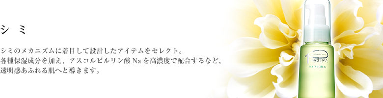 シミのメカニズムに着目して設計したアイテムをセレクト。各種保湿成分を加え、アスコルビルリン酸Naを高濃度で配合するなど、透明感あふれる肌へと導きます。