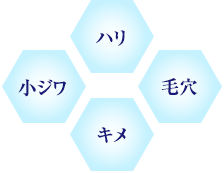 ハリ 毛穴 キメ 小ジワ