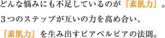 どんな悩みにも不足しているのが『素肌力』。３つのステップが互いの力を高め合い、『素肌力』を生み出すピアベルピアの法則。