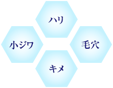ハリ毛穴キメ小ジワ