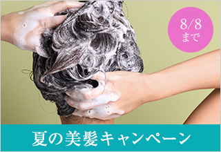 夏の美髪キャンペーン