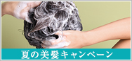 夏の美髪キャンペーン