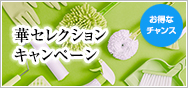 洗濯用エコウォッシュキャンペーン
