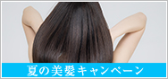 夏の美髪キャンペーン