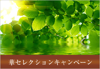 2026すこやか応援キャンペーン