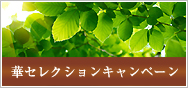 2026すこやか応援キャンペーン